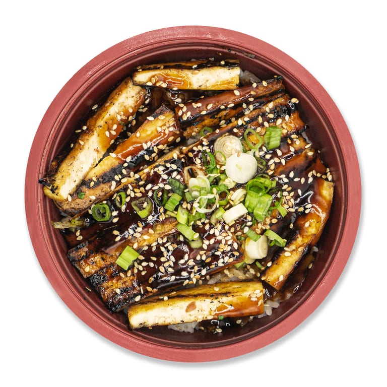 Tofu Delights for Everyone